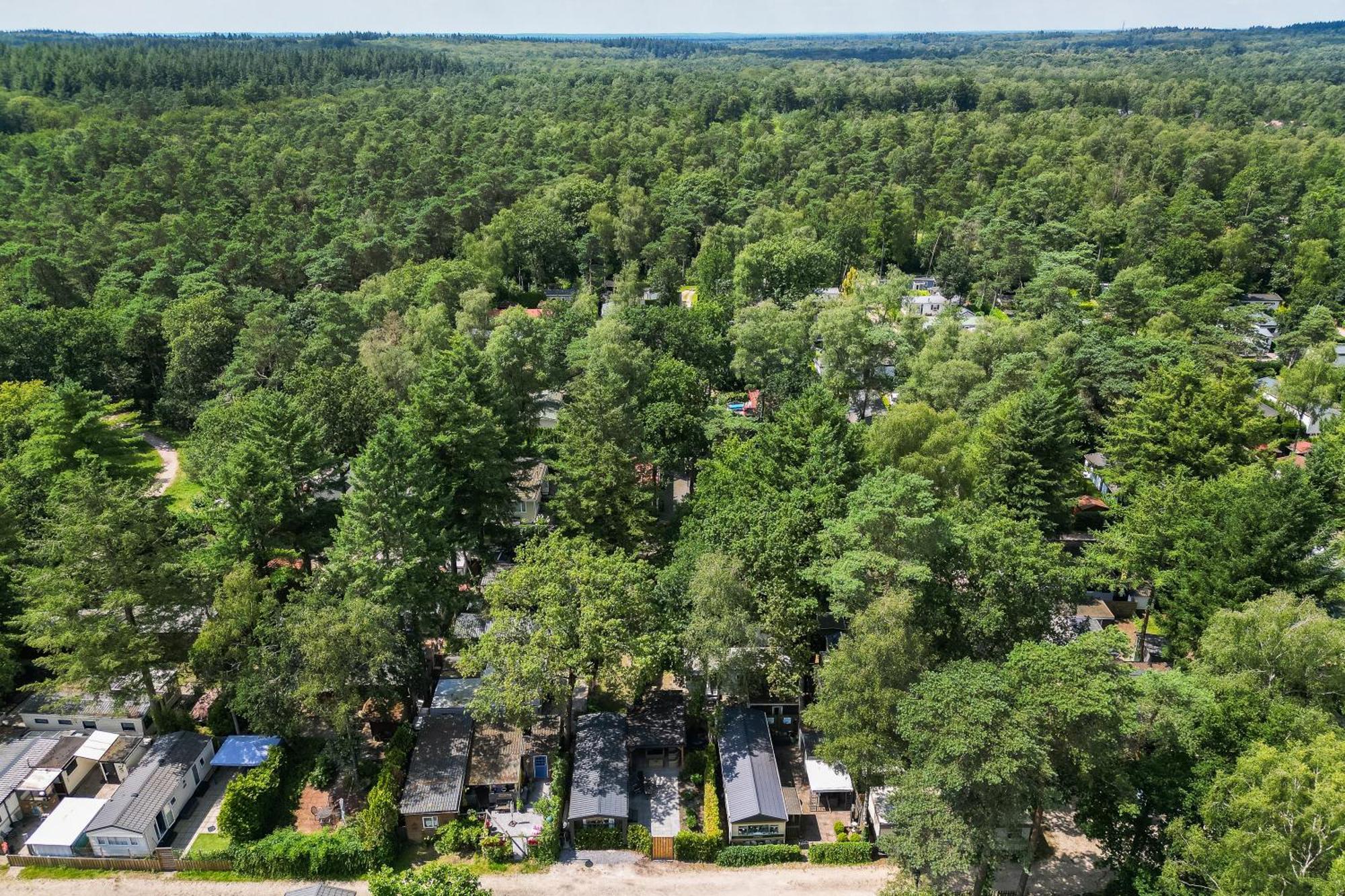 Veluwe Hoenderloo Luxury Chalet With Private Sauna And Hot Tub - Swimming Pool Tennis Court Supermarket Bowling Alley Theatre And Entertainment For Children Zewnętrze zdjęcie