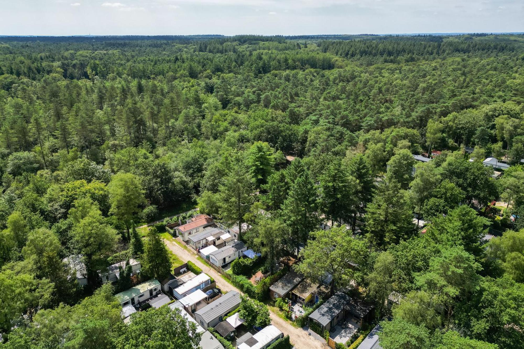 Veluwe Hoenderloo Luxury Chalet With Private Sauna And Hot Tub - Swimming Pool Tennis Court Supermarket Bowling Alley Theatre And Entertainment For Children Zewnętrze zdjęcie